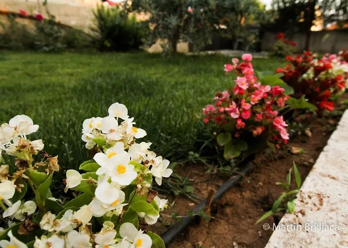 Апартаменты Jukic *