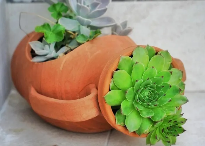 Jukic * 스베티필립아이자코브