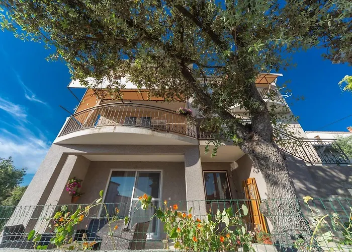Jukic *